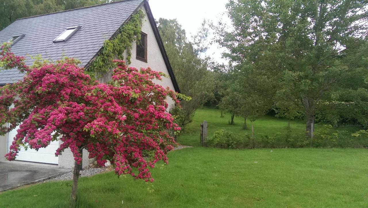 An Torr Villa Newtonmore Exterior photo